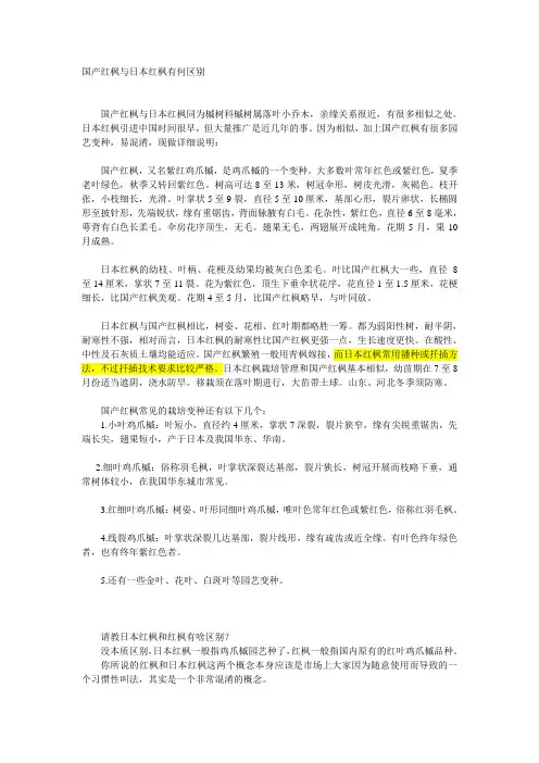 国产红枫与日本红枫有何区别