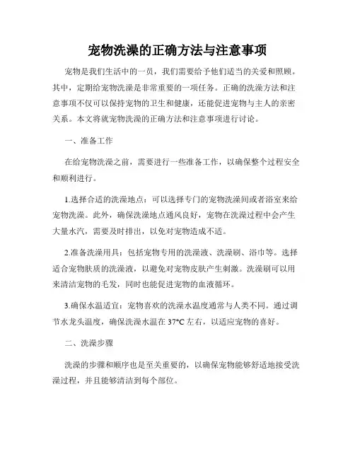 宠物洗澡的正确方法与注意事项