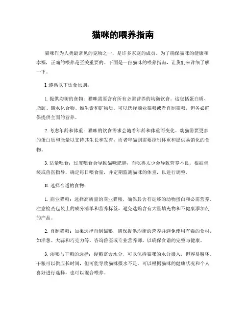 猫咪的喂养指南