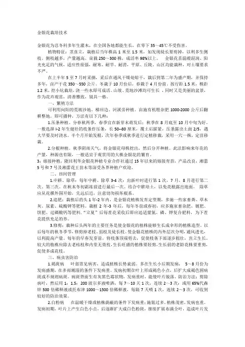 金银花栽培技术