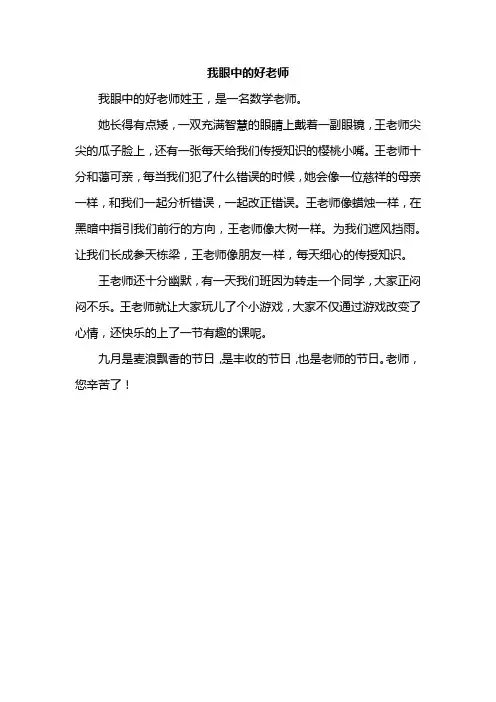 我眼中的好老师范文