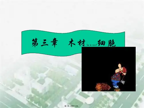 家具材料之——木材细胞(ppt版)