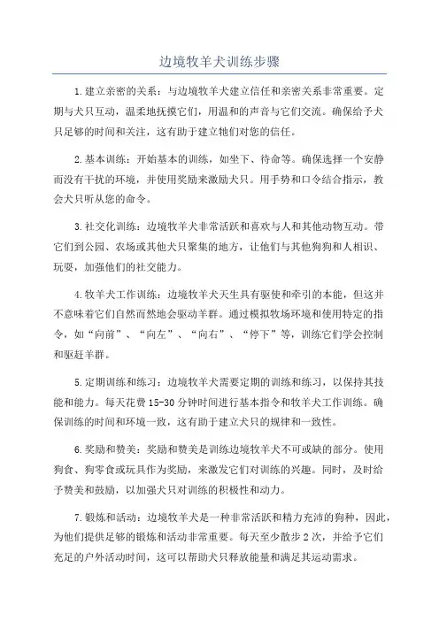 边境牧羊犬训练步骤