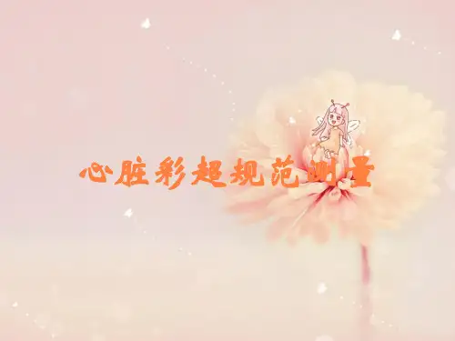 心脏彩超规范测量