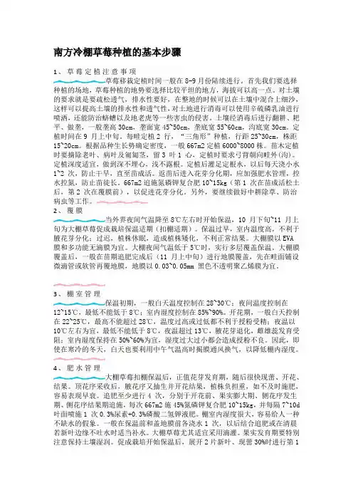 南方冷棚草莓种植的基本步骤