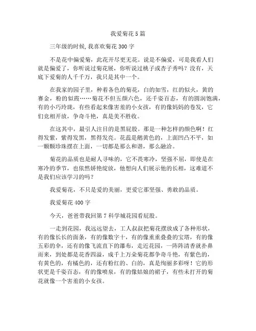 我爱菊花的作文5篇