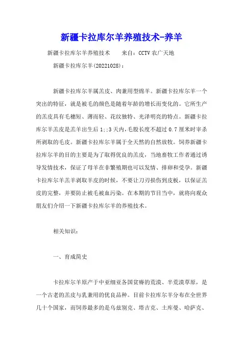 新疆卡拉库尔羊养殖技术[农广天地] - 养羊视频