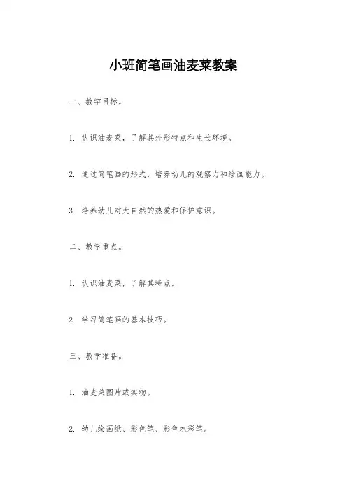 小班简笔画油麦菜教案