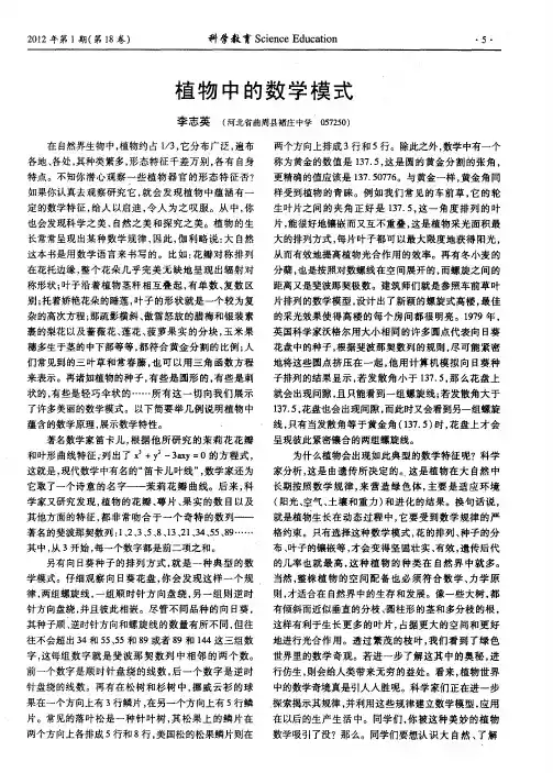 植物中的数学模式