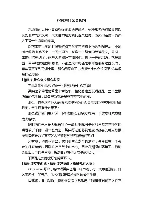 榕树为什么会长须