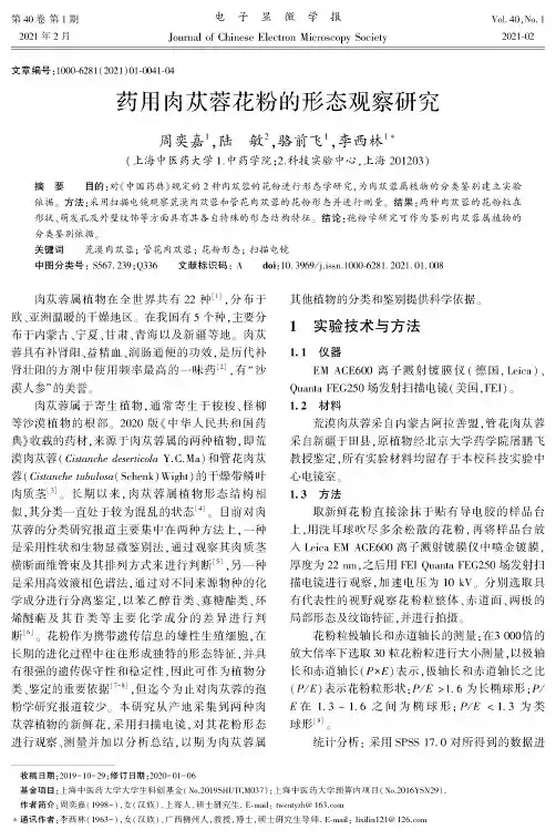 药用肉苁蓉花粉的形态观察研究