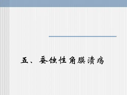 第十三章  角膜病2
