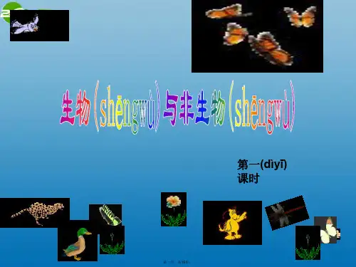 七年级科学上册 2.1 生物和非生物第一课时课件 浙教版