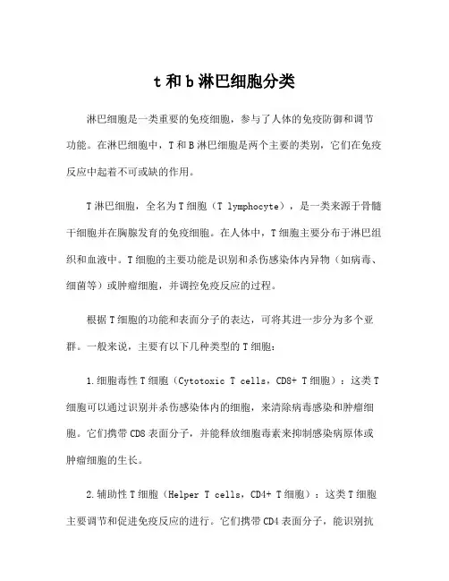 t和b淋巴细胞分类