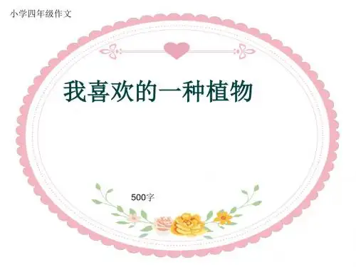 小学四年级作文《我喜欢的一种植物》500字(共8页PPT)