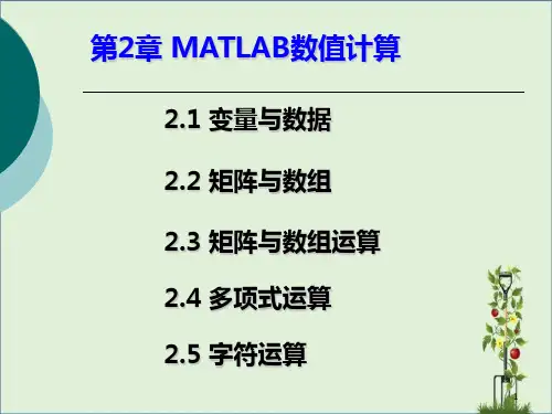 MATLAB数值计算