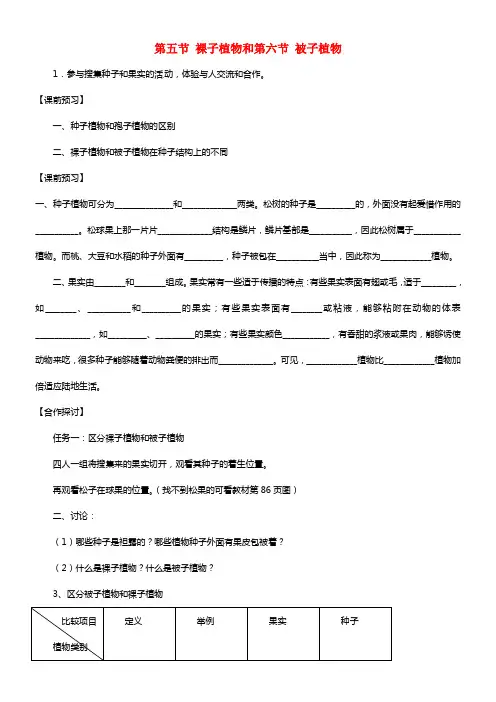 七年级生物上册 第三章 形形色色的植物 第五节 裸子植物和第六节被子植物
