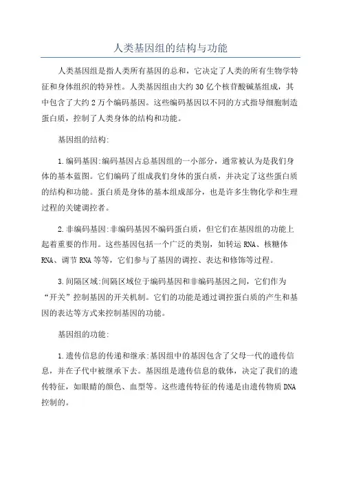 人类基因组的结构与功能