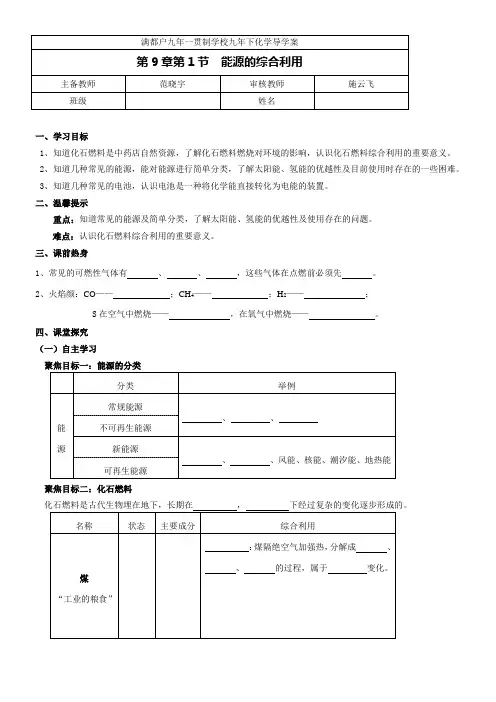 《能源的综合利用》优秀教案