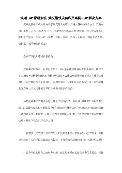 浪潮ERP管理系统 武汉钢铁成功应用案例ERP解决方案