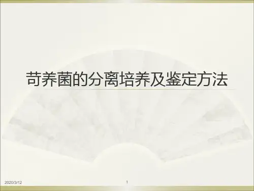 苛养菌的分离培养ppt参考课件