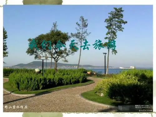 青岛版五年级数学上折线统计图