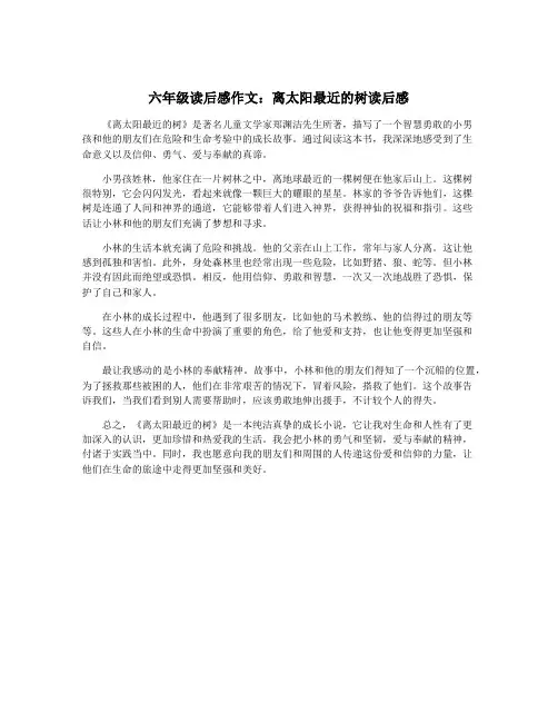 六年级读后感作文：离太阳最近的树读后感