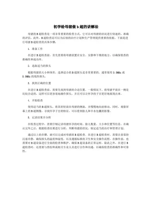 初学给母猪做b超的讲解法