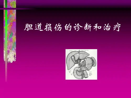 胆管损伤的诊断和治疗