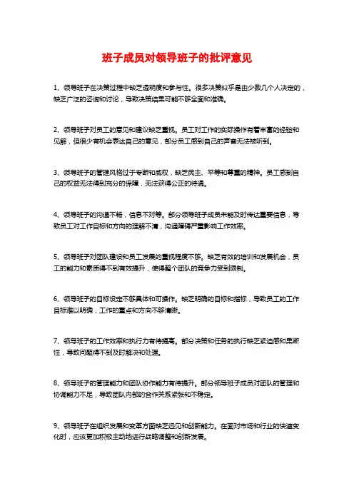班子成员对领导班子的批评意见