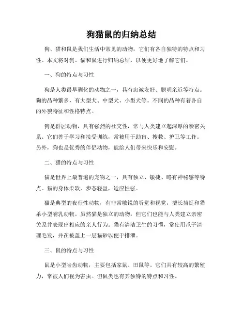 狗猫鼠的归纳总结
