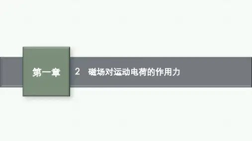 人教版高中物理选择性必修第二册精品课件 第1章 安培力与洛伦兹力 2 磁场对运动电荷的作用力 (2)