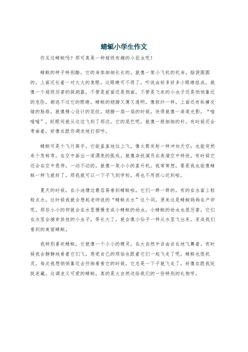 蜻蜓小学生作文