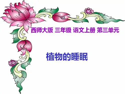 12《植物的睡眠》课件1