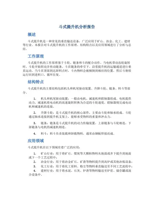 斗式提升机分析报告