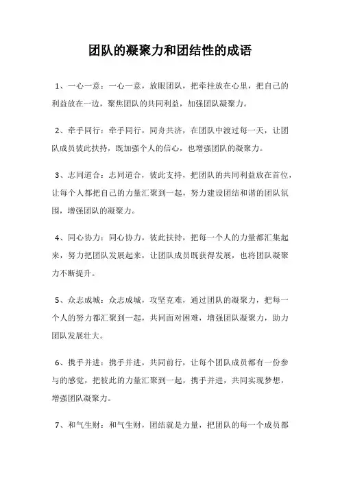 团队的凝聚力和团结性的成语