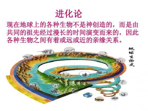 现代生物进化理论