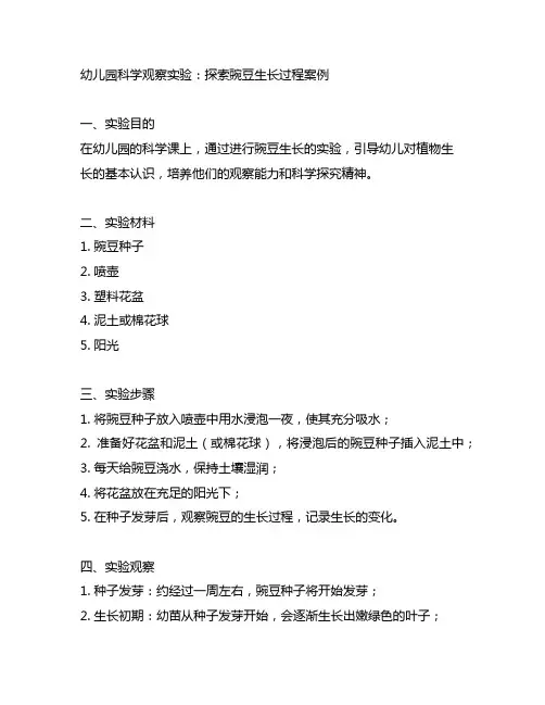 幼儿园科学观察实验：探索豌豆生长过程案例