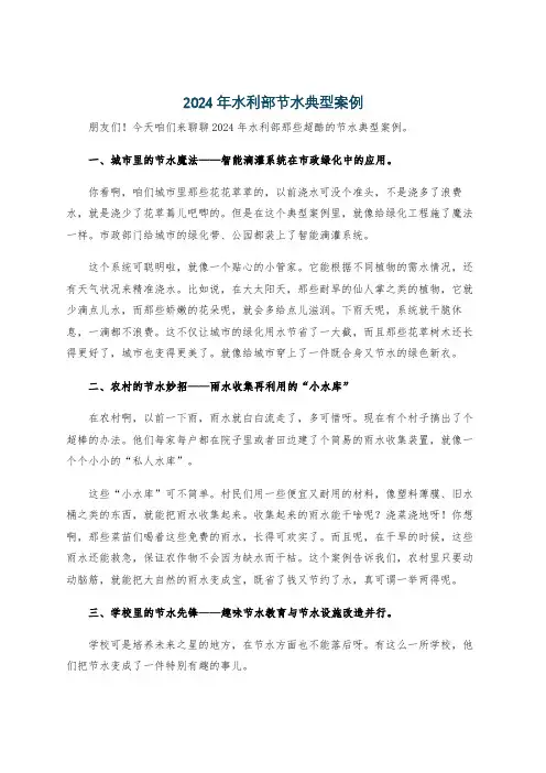 2024年水利部节水典型案例