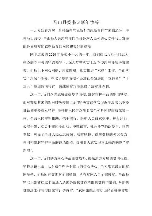 马山县委书记新年致辞