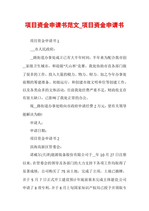 项目资金申请书范文_项目资金申请书
