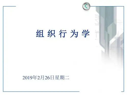 什么是组织行为学(PPT 45张)