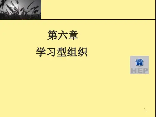 组织行为学(第五版)第06章学习型组织