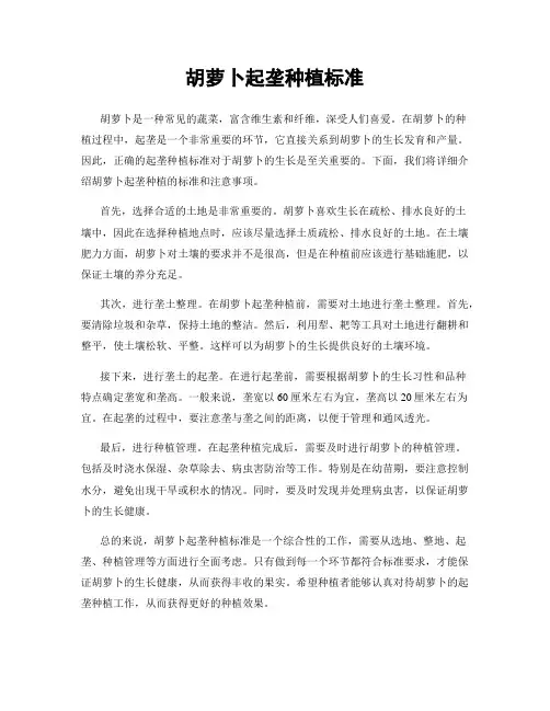 胡萝卜起垄种植标准