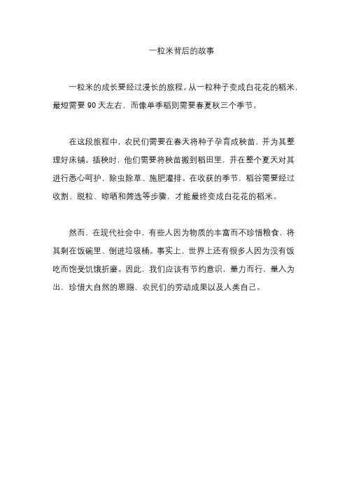 一粒米背后的故事