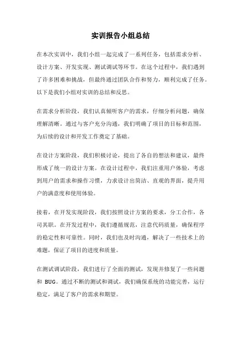 实训报告小组总结