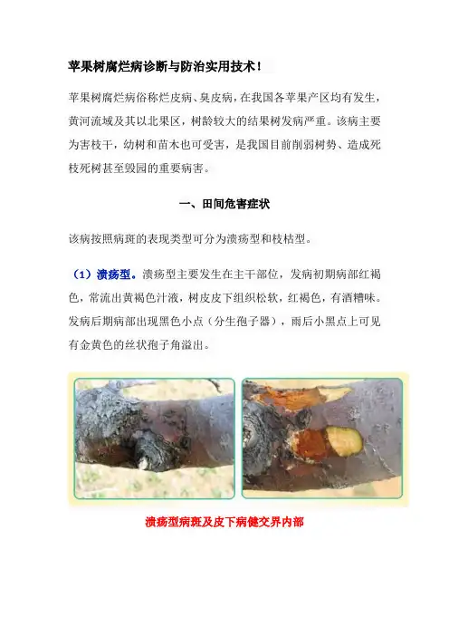苹果树腐烂病诊断与防治实用技术
