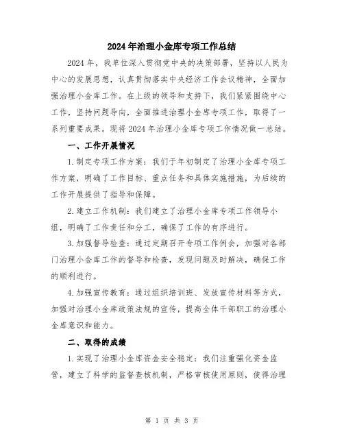 2024年治理小金库专项工作总结