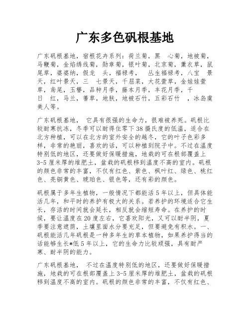 广东多色矾根基地