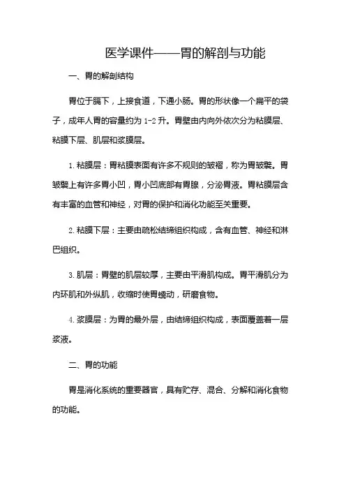 医学课件胃的解剖与功能(带附加条款)